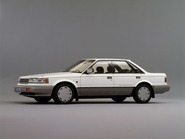 Bluebird Maxima